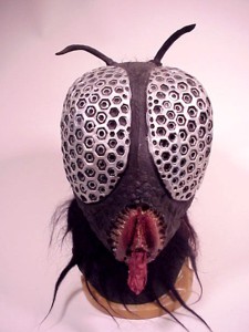 The Fly